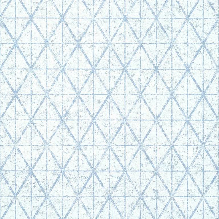 Thibaut Capella in Blue (T446)