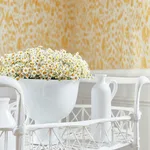 T75457 | Carlotta - Yellow Thibaut Carlotta in Yellow (T75457)