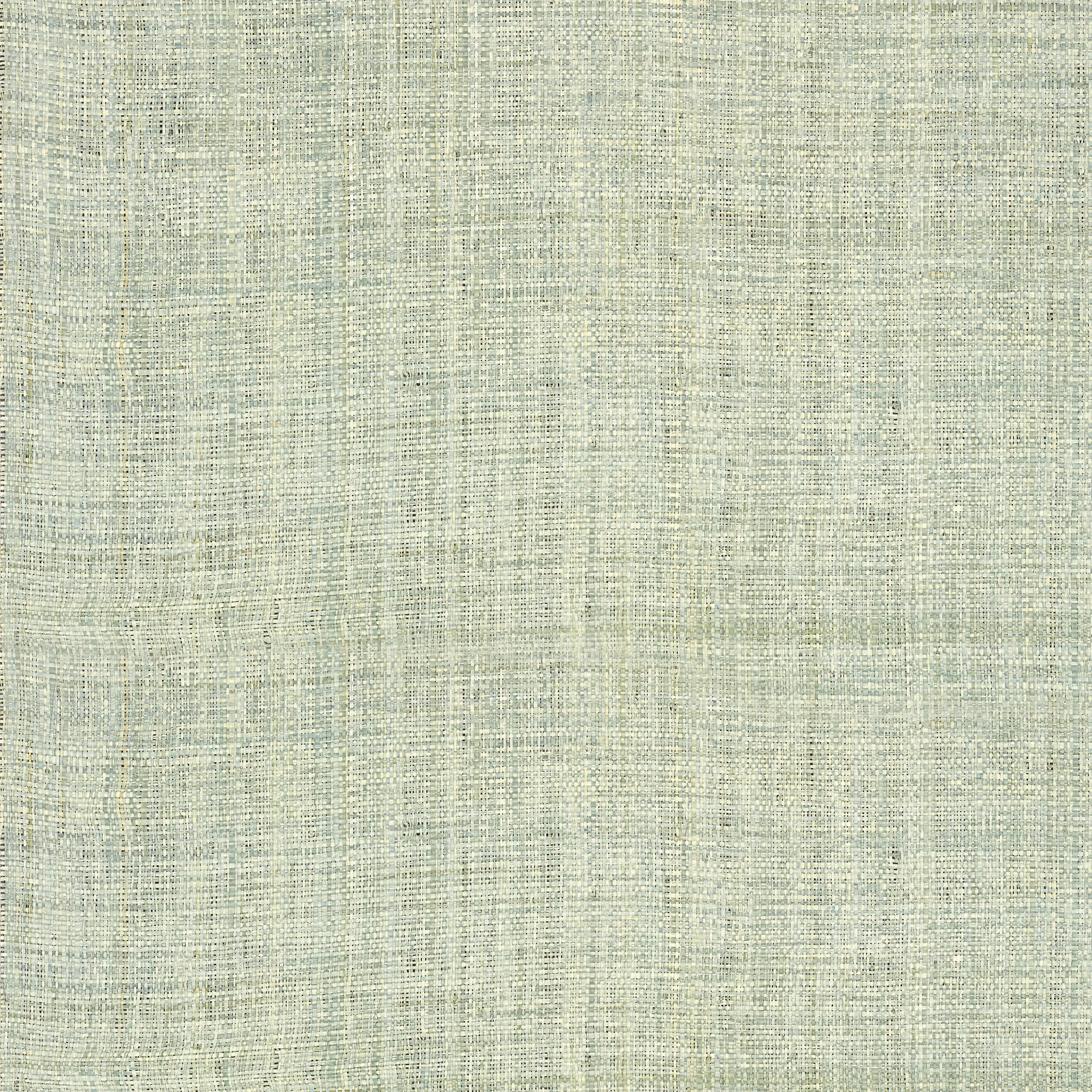 T41121 | Carolina Raffia – Aqua
