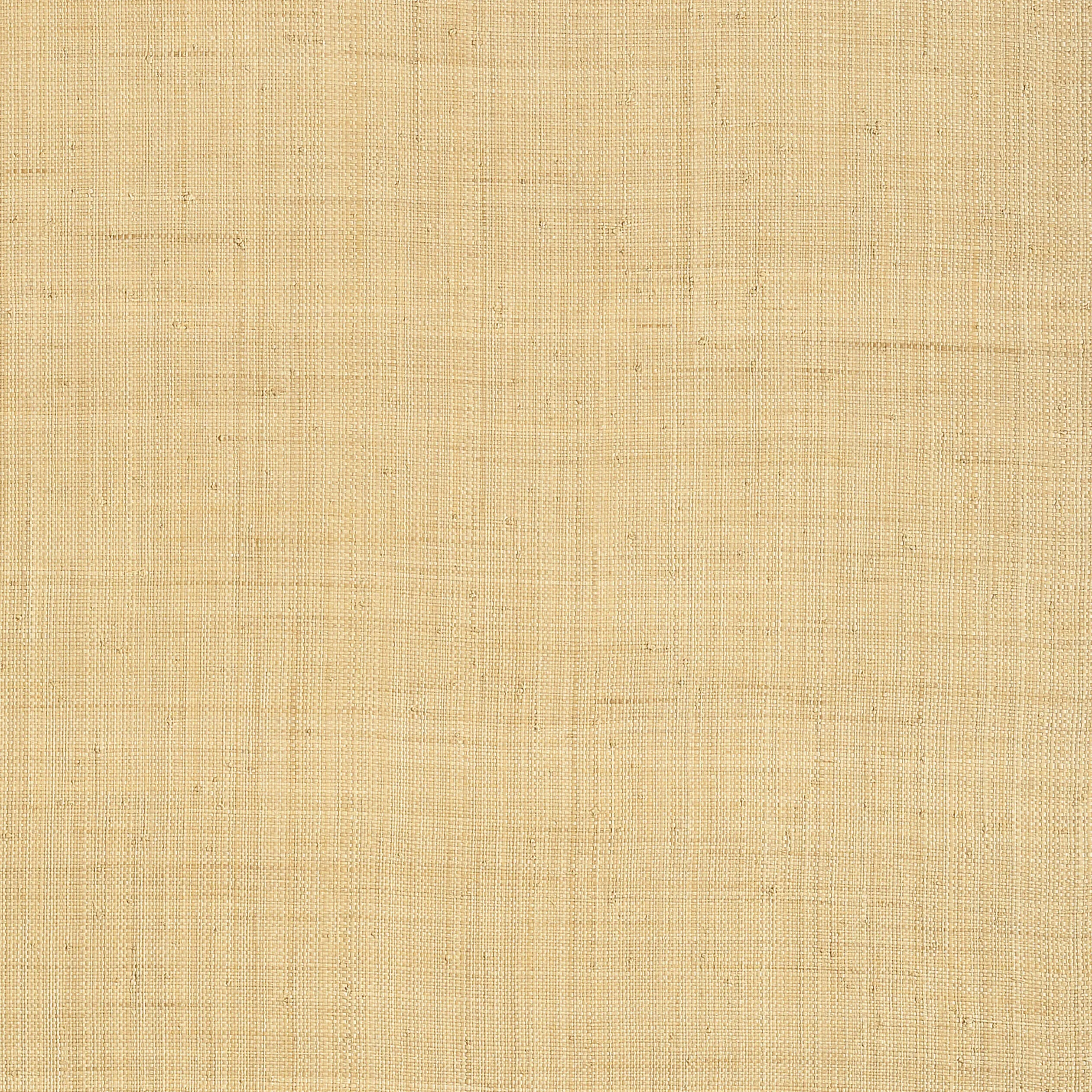 T13040 | Carolina Raffia – Natural