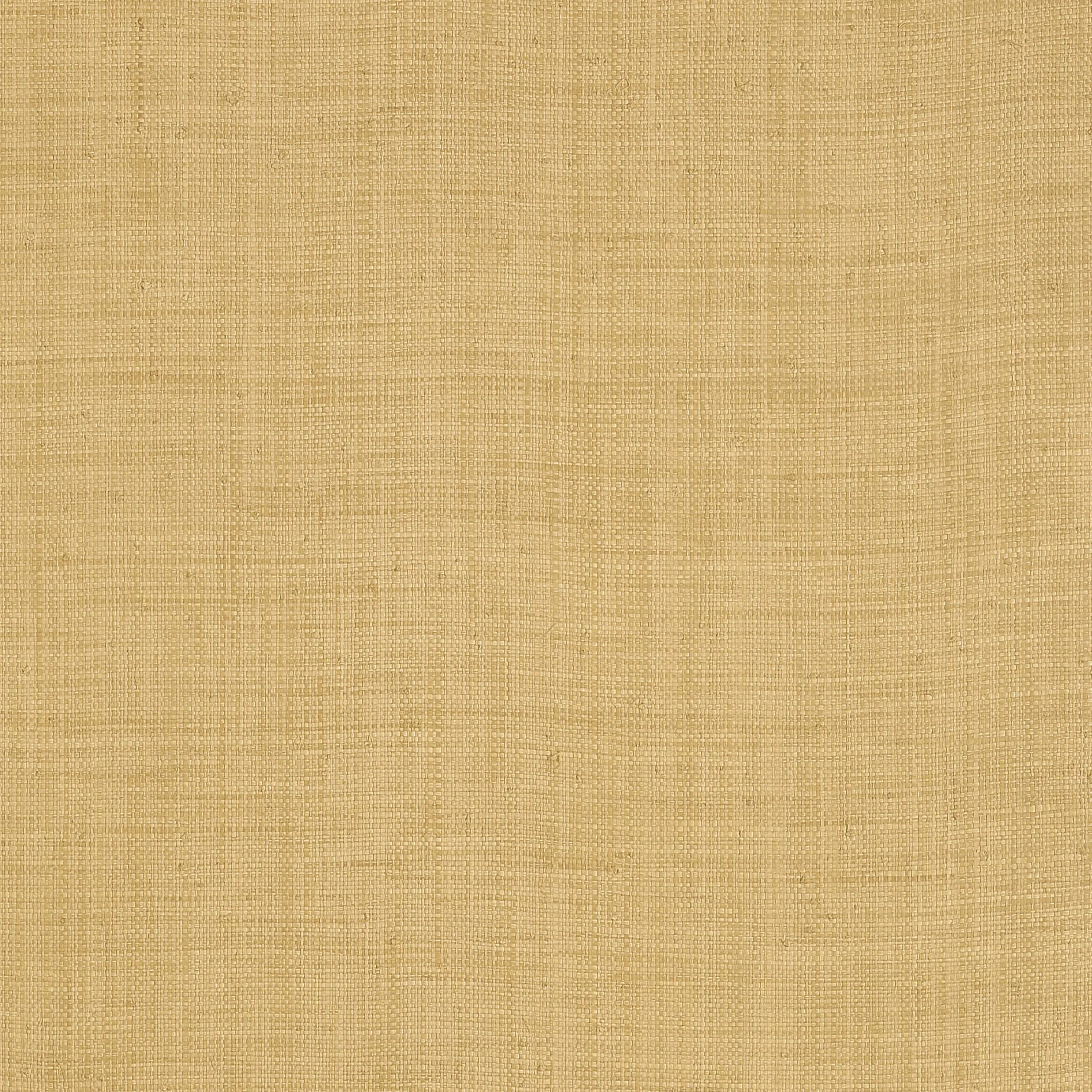 Thibaut Carolina Raffia in Straw (T13039)