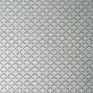 Anna French Cashiers in Grey on Metallic Silver (AT79110)