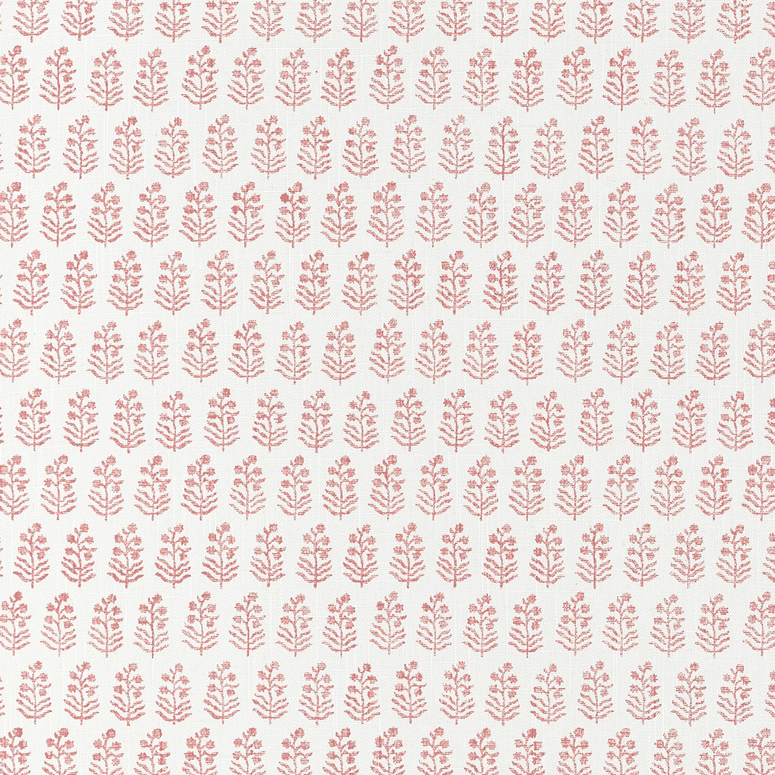 Anna French Chloe in Blush (AT10746)