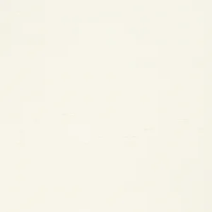Anna French Cholla Sisal in Off White (AT34100)