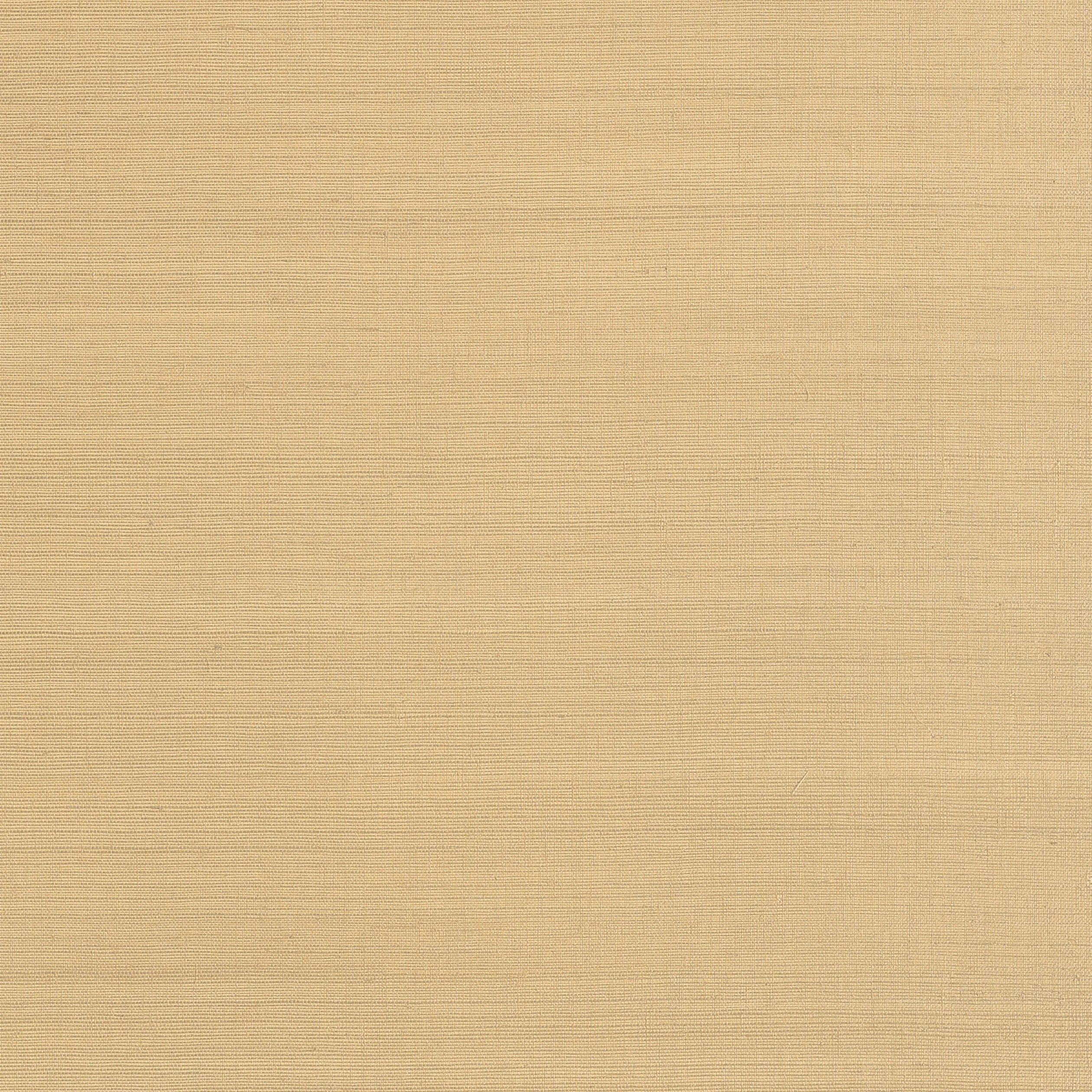 AT34101 | Cholla Sisal – Sand