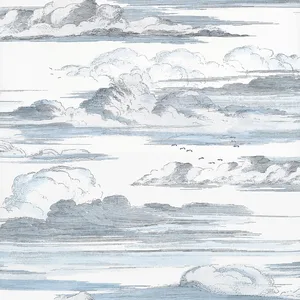 Anna French Cielo in Blue (AT57870)
