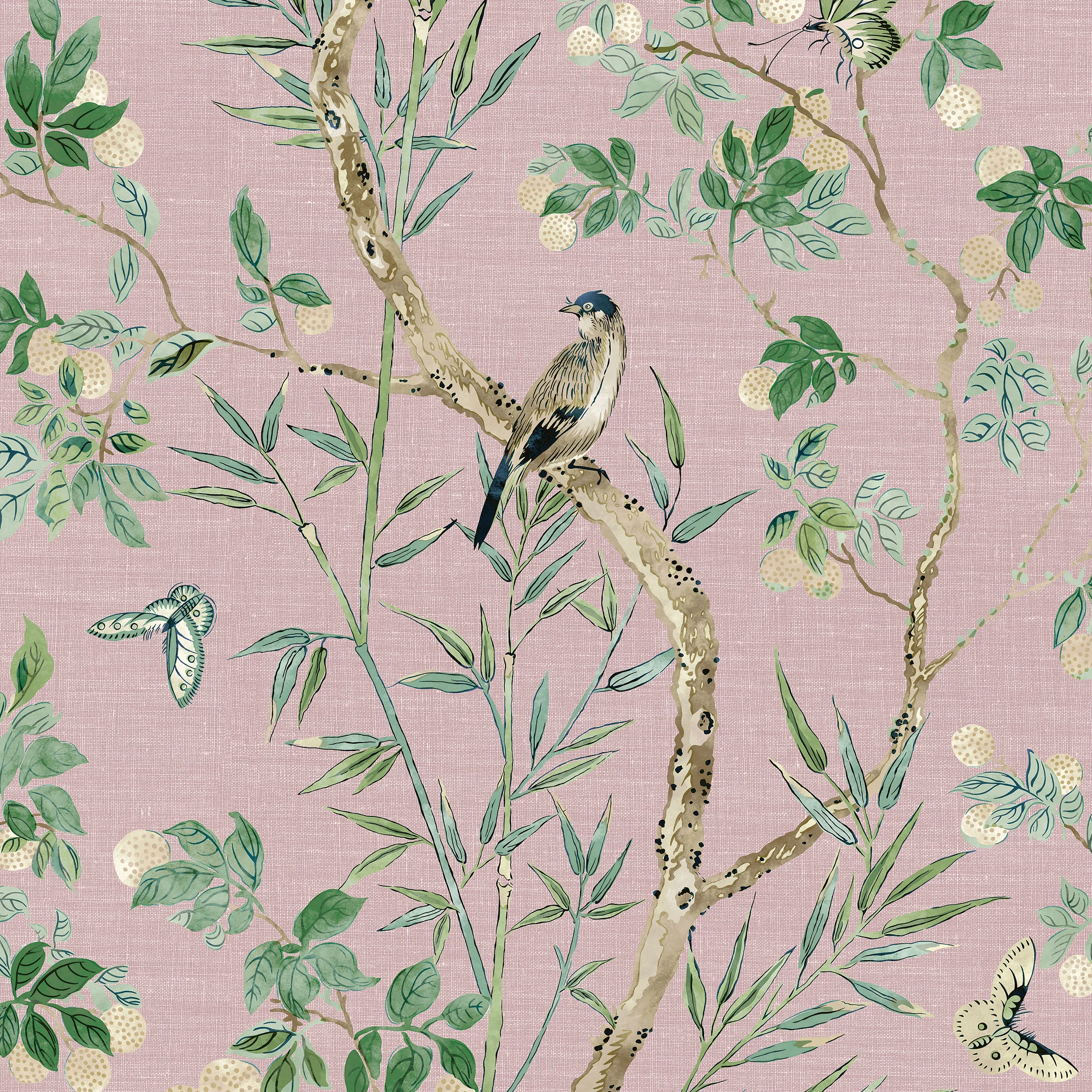 Thibaut Claire in Lavender (T42011)