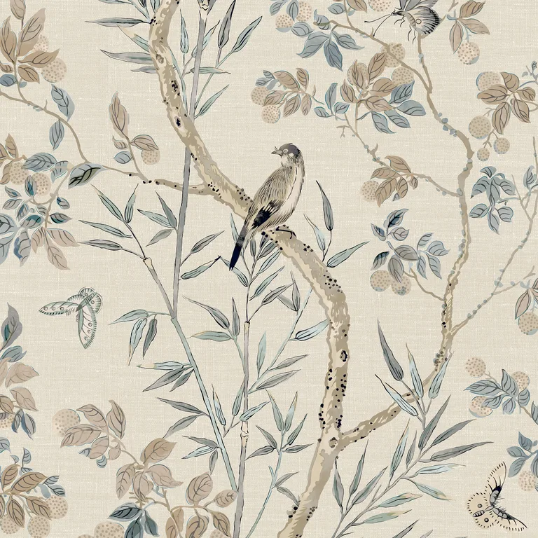 Thibaut Claire in Neutral (T42012)