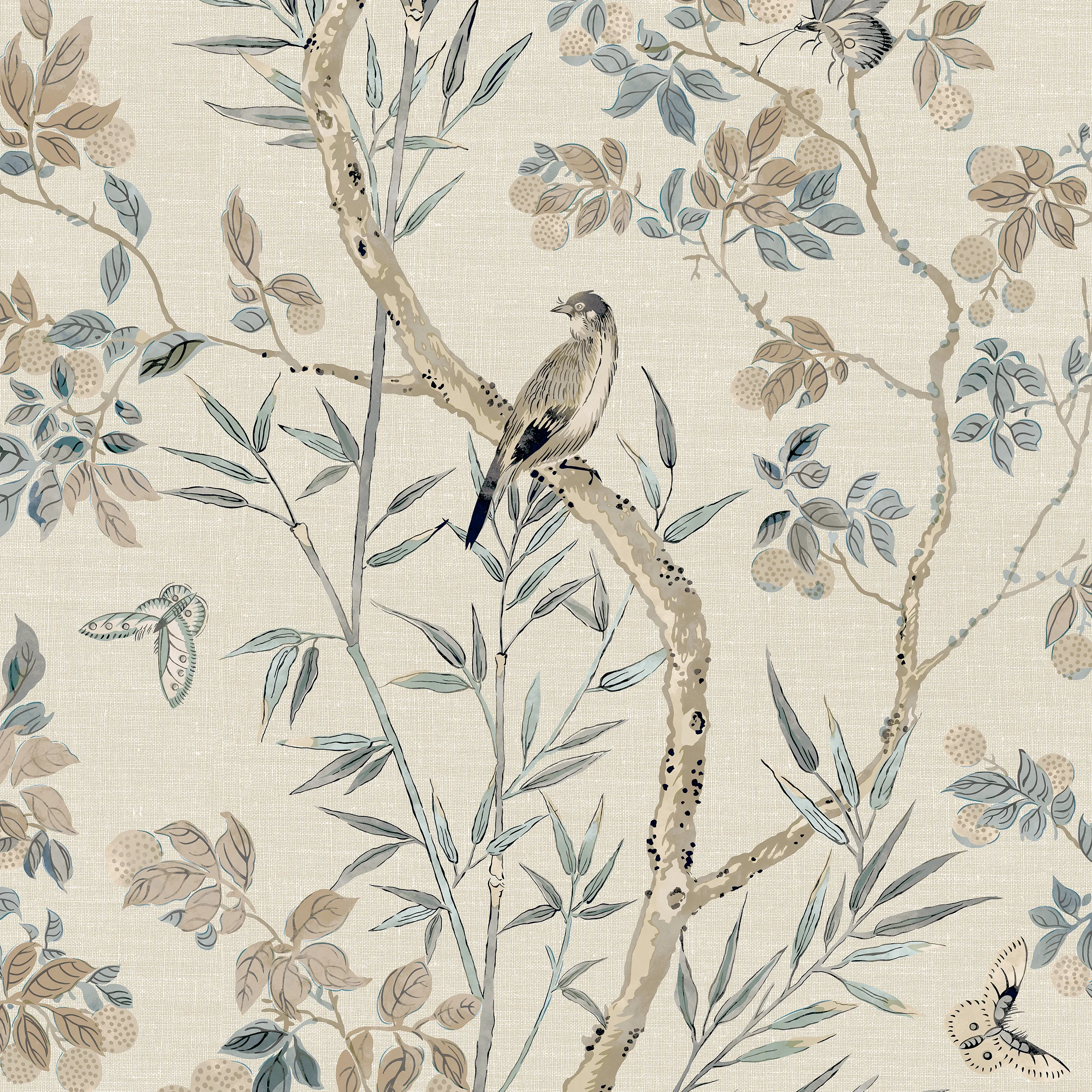 Thibaut Claire in Neutral (T42012)