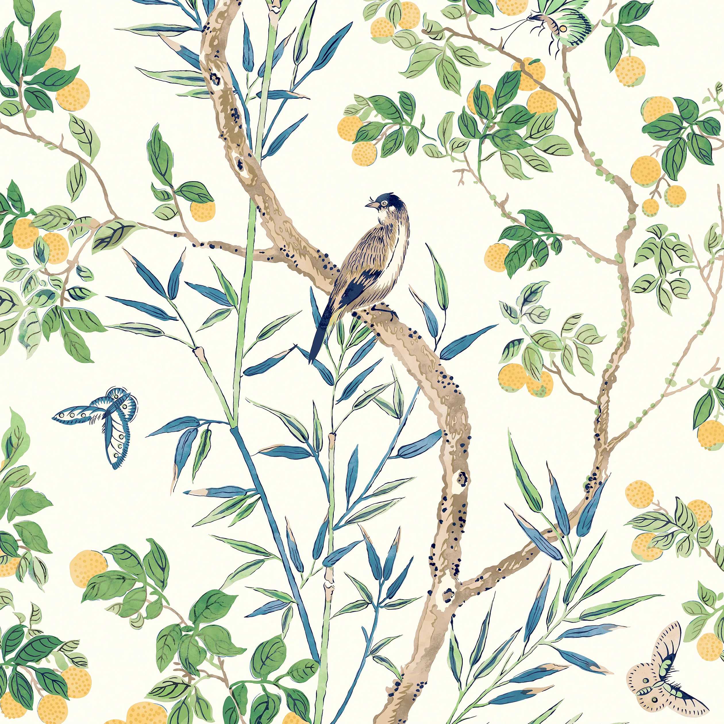 Thibaut Claire in Yellow and Navy (T42013)