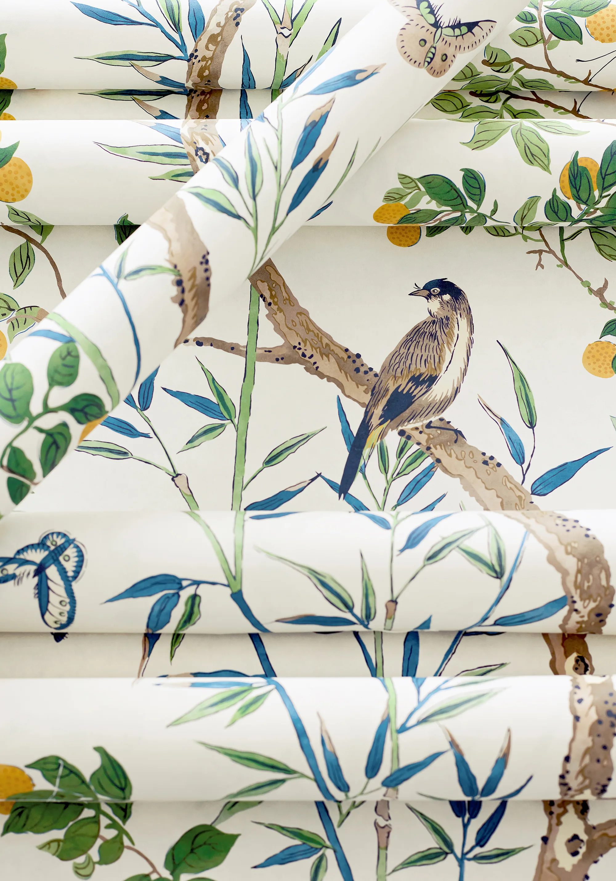 Thibaut Claire in Yellow and Navy (T42013)