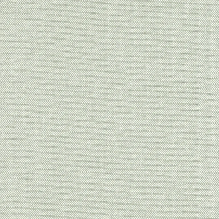 Thibaut Clarkson Weave in Sage (T19685)