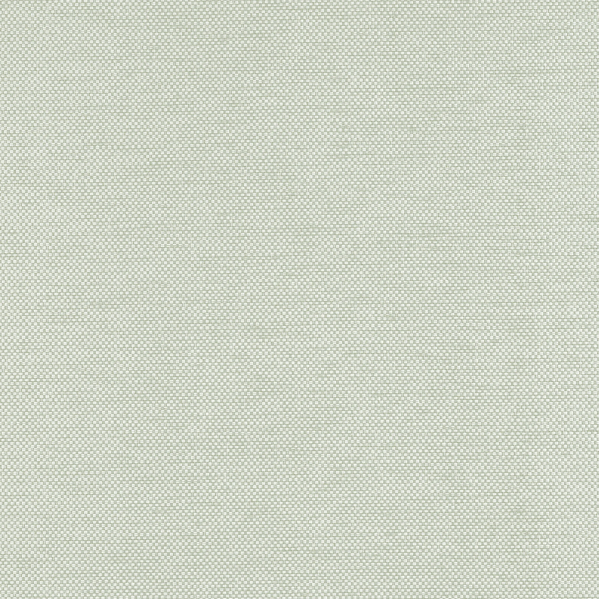 T19685 | Clarkson Weave – Sage