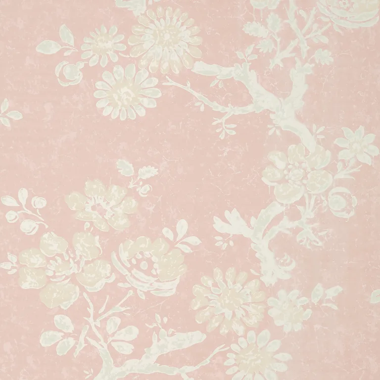 Thibaut Claudette in Blush (T10816)