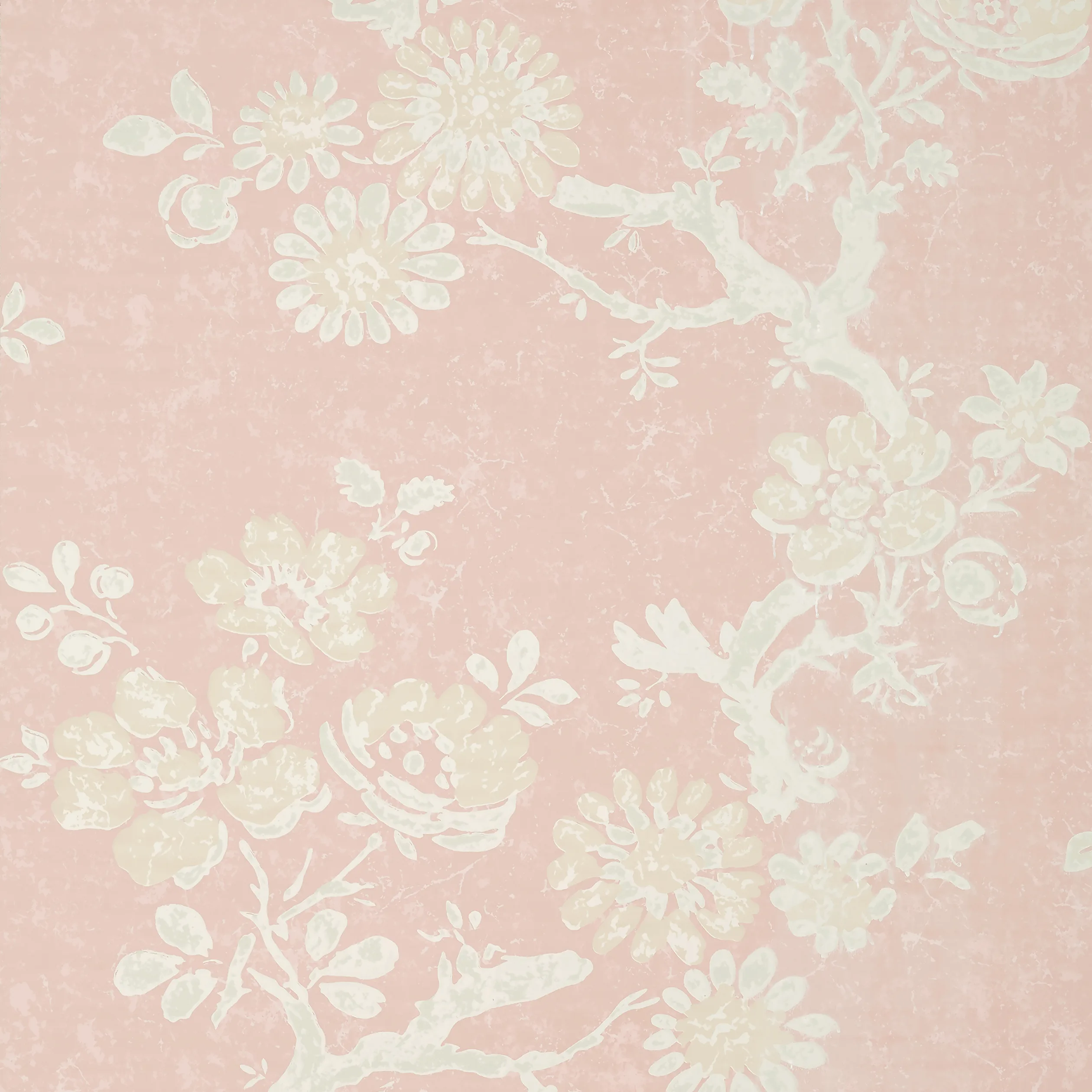 T10816 | Claudette – Blush