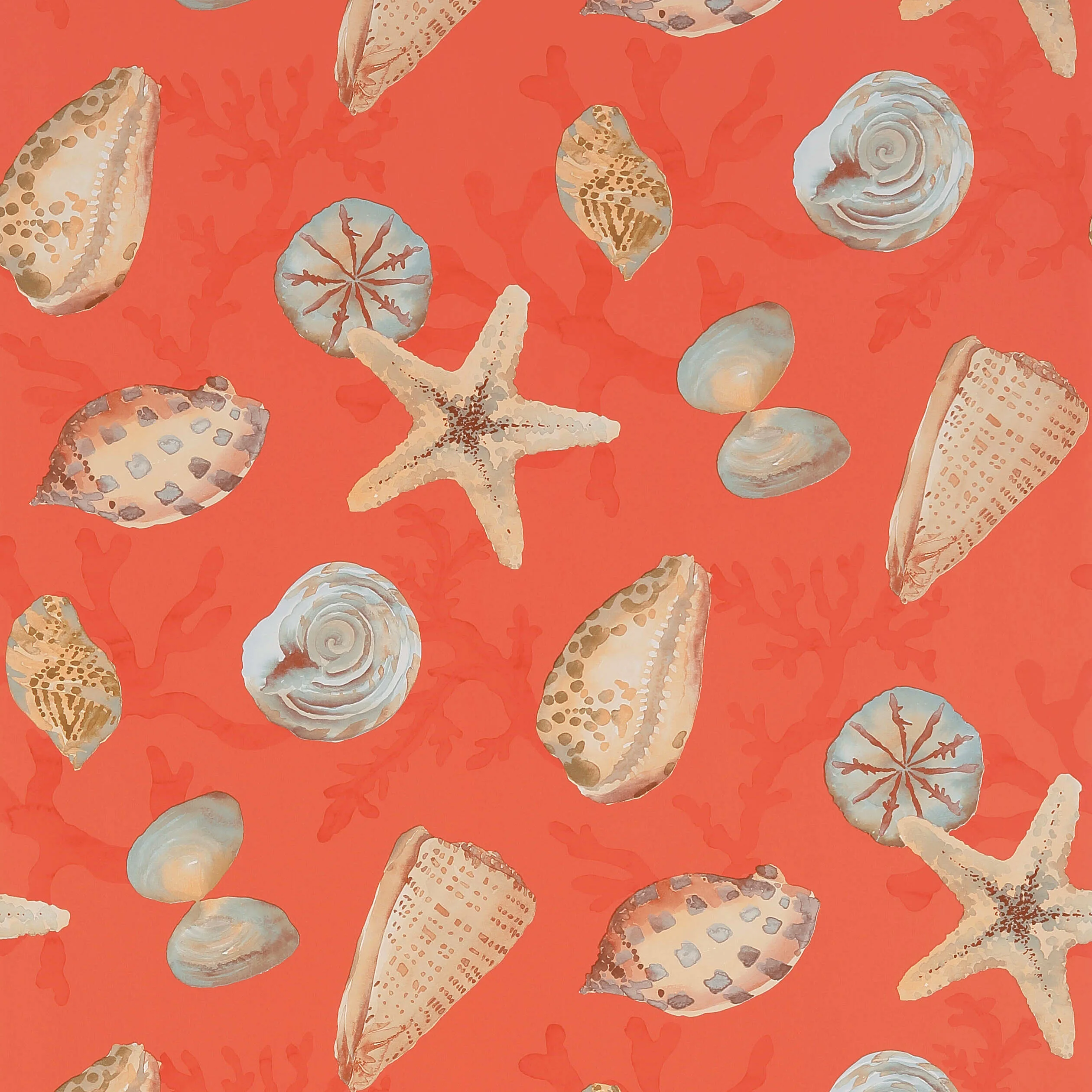Thibaut Clearwater in Coral (T5761)