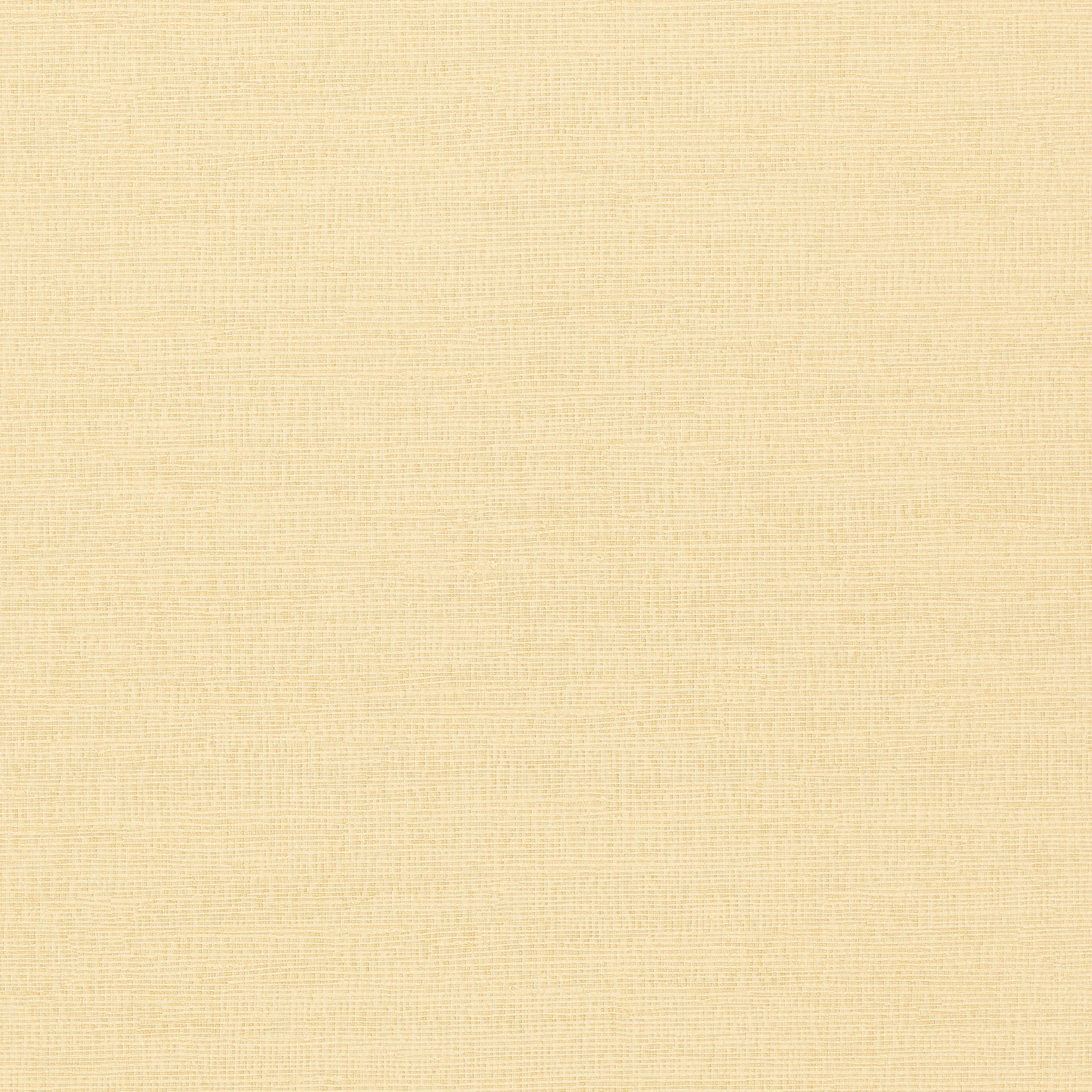 Thibaut Coastal Sisal in Cream (T14107)