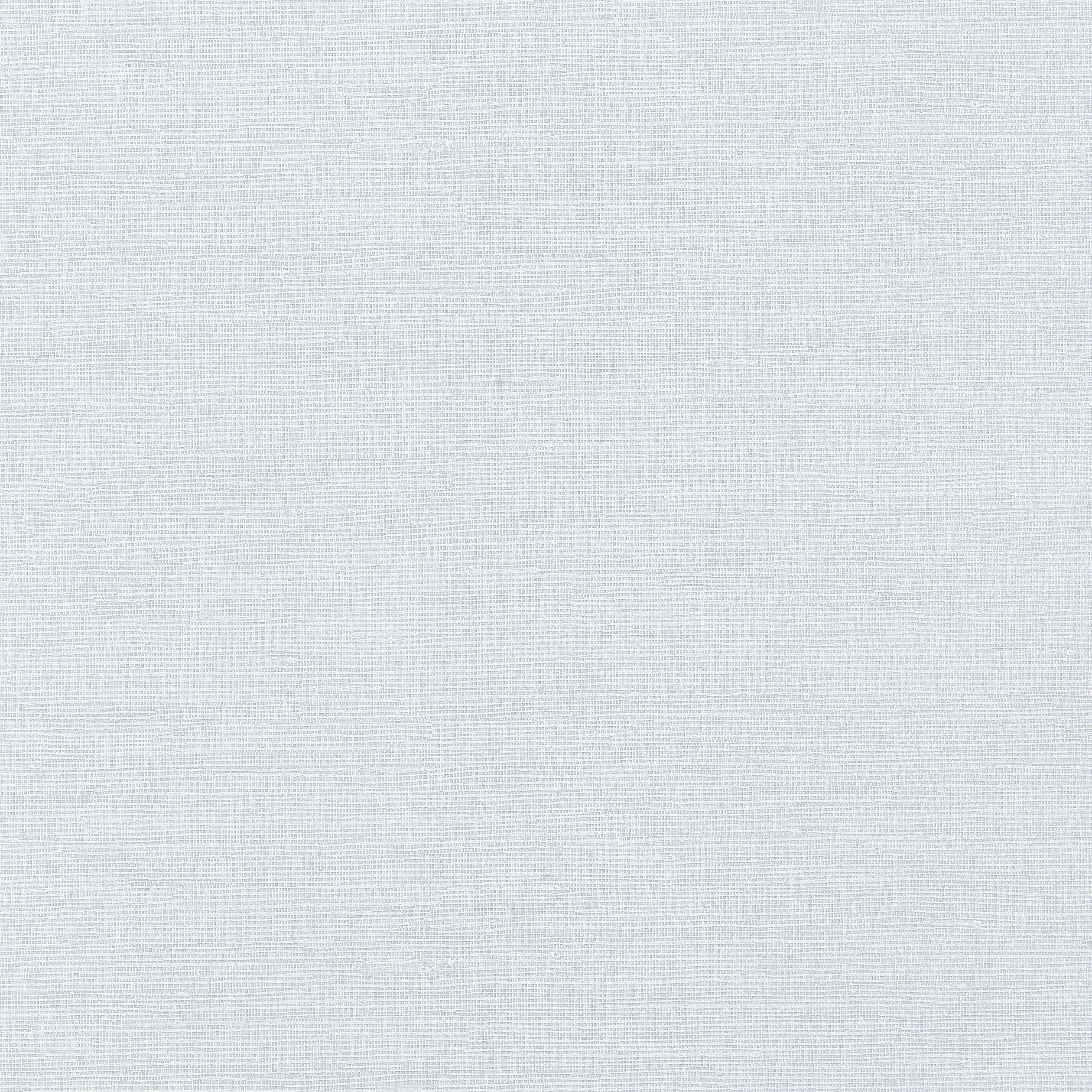 Thibaut Coastal Sisal in Ice (T14114)