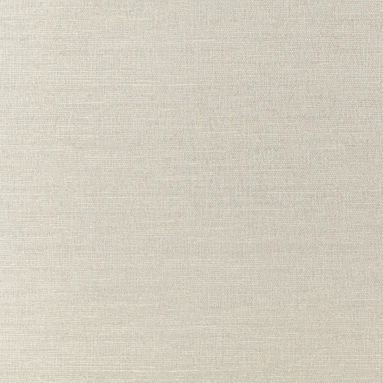 Thibaut Coastal Sisal in Silver (T14115)