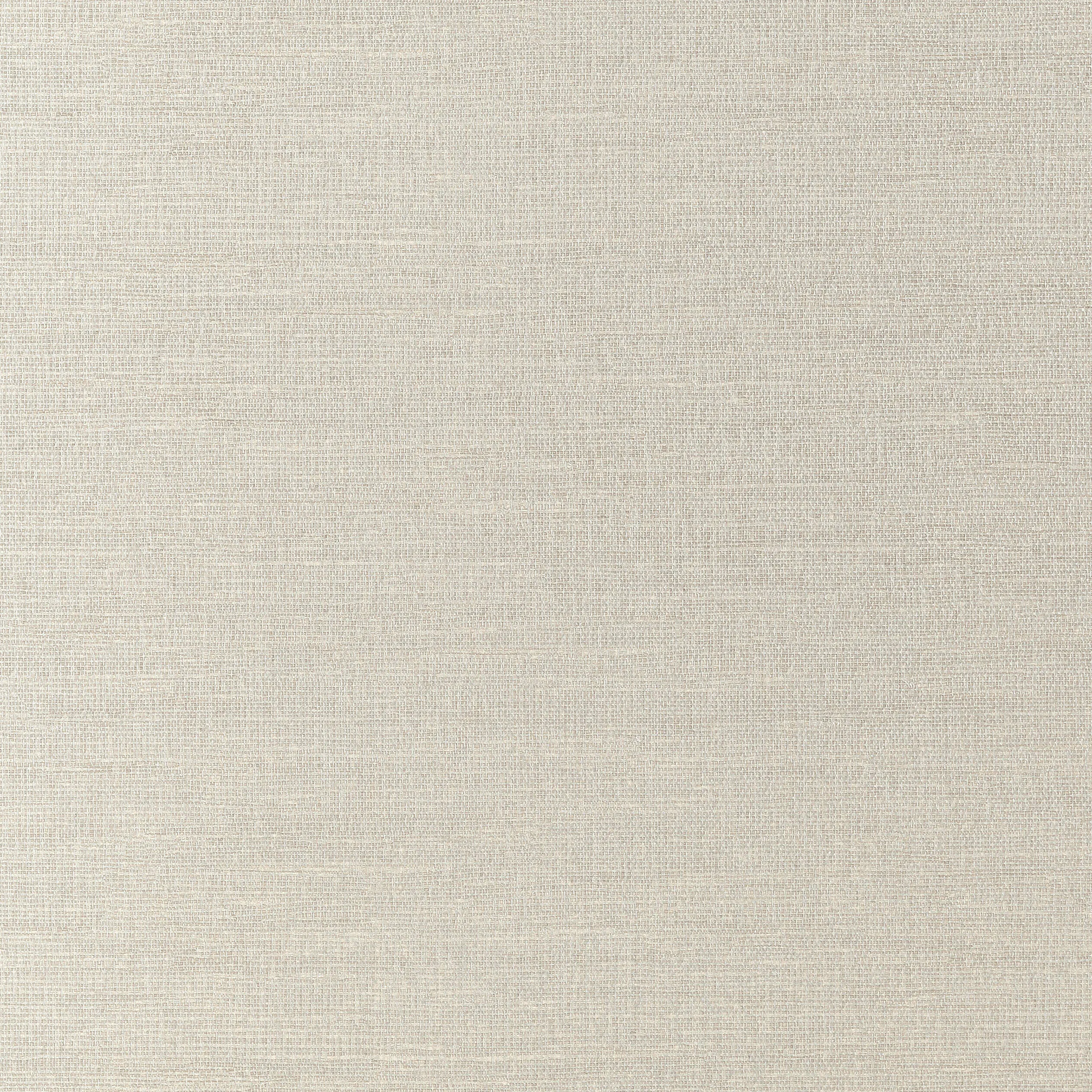 Thibaut Coastal Sisal in Silver (T14115)