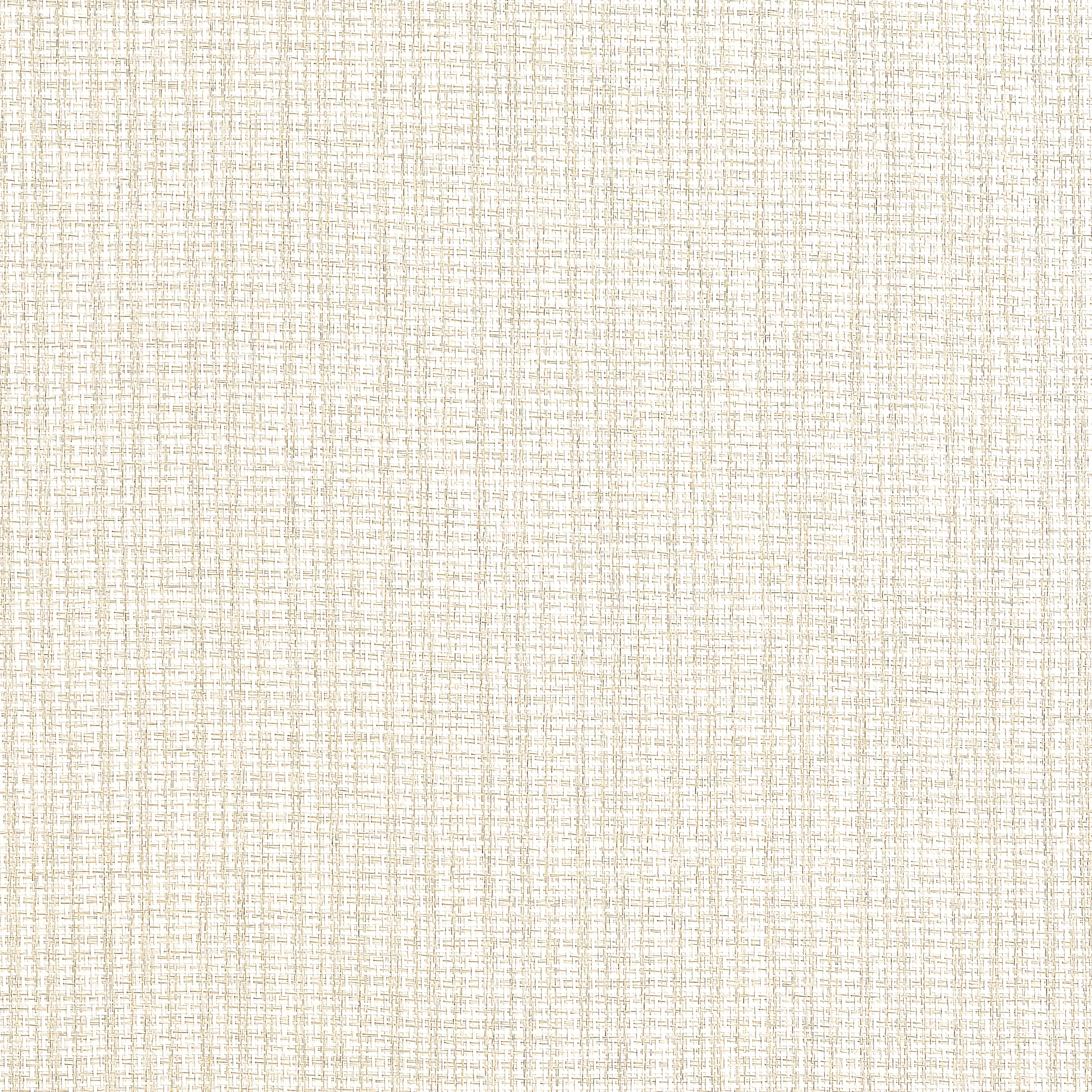 T19660 | Coastline – Cream