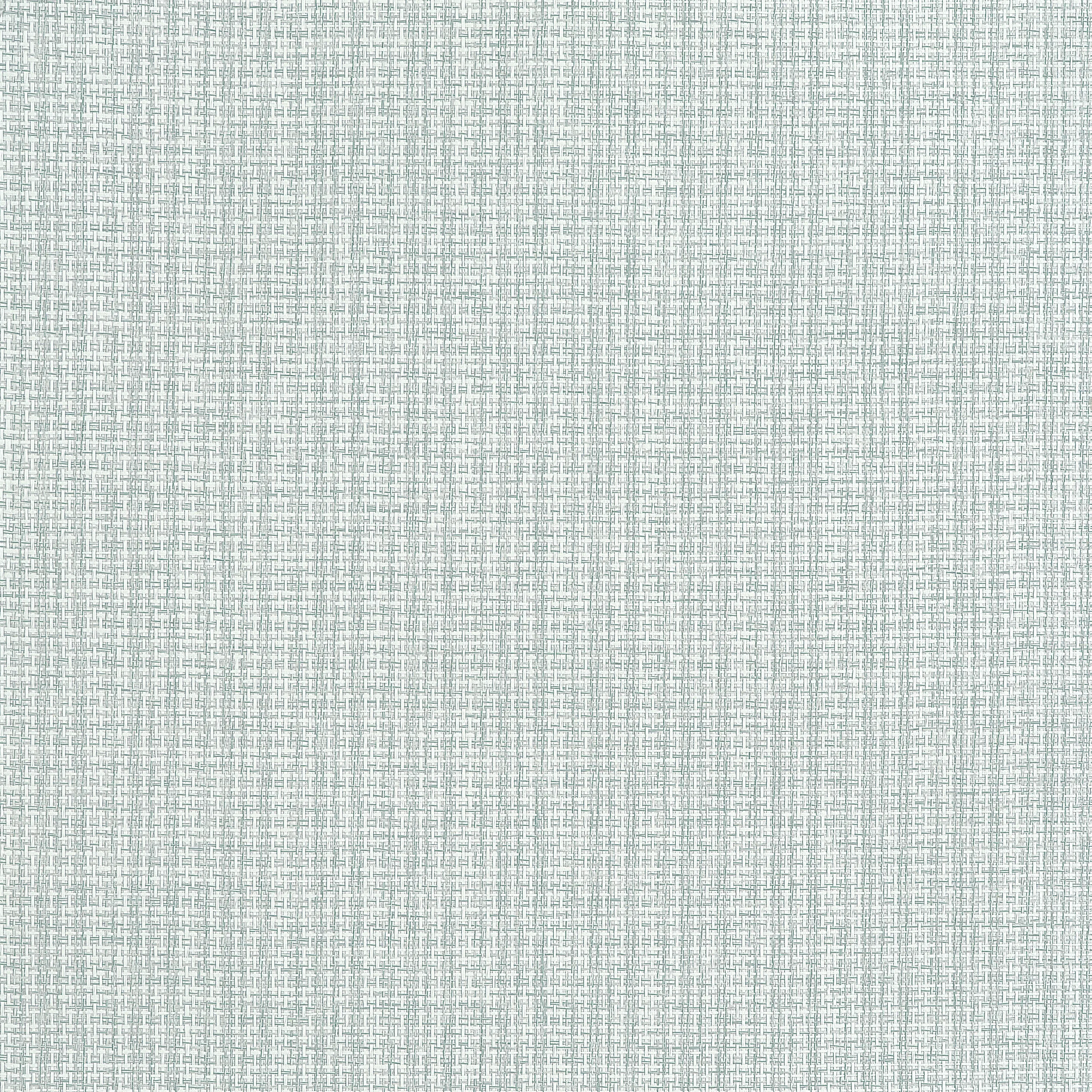 T19633 | Coastline – Seamist