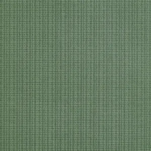 Thibaut Coastline in Spruce (T19630)