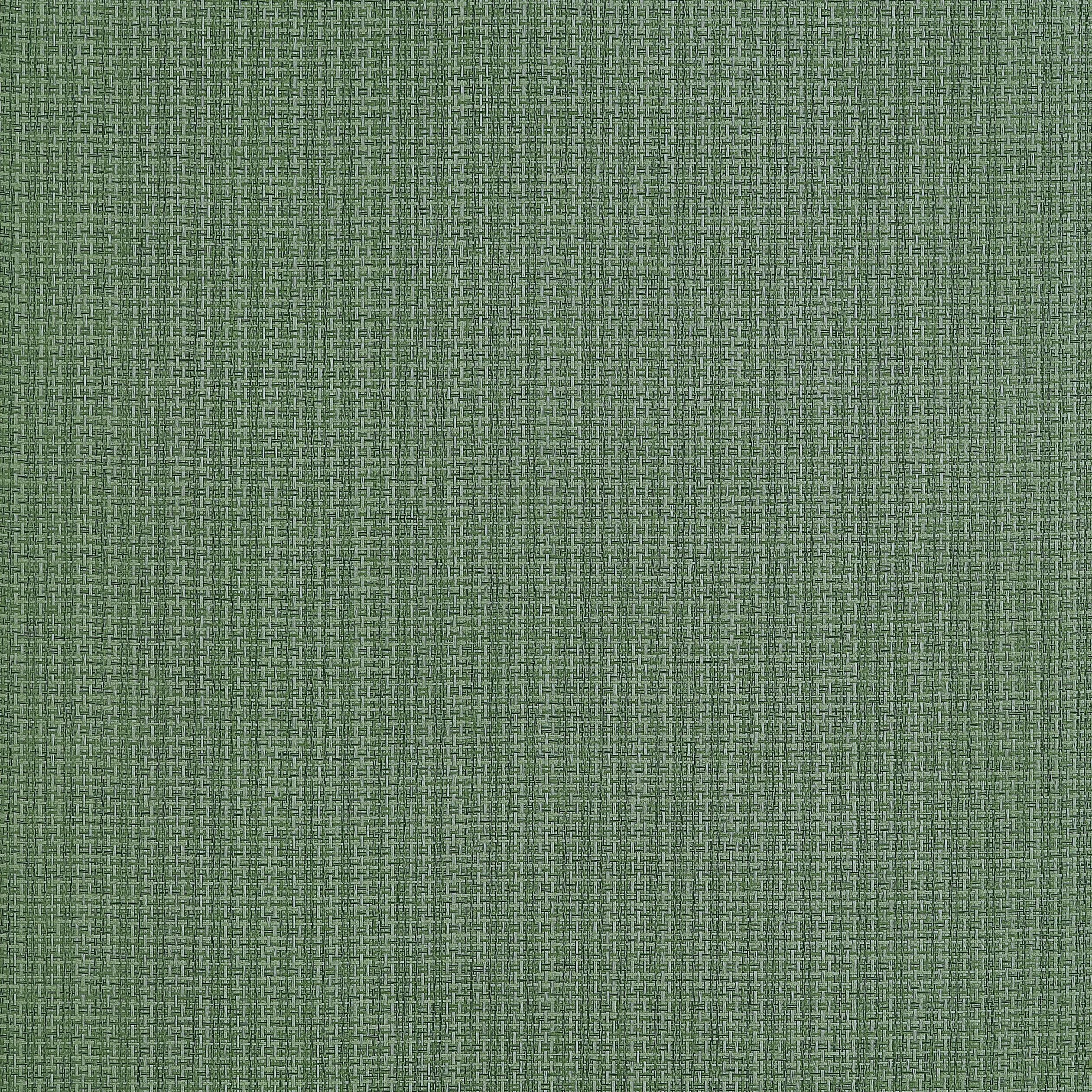 T19630 | Coastline – Spruce