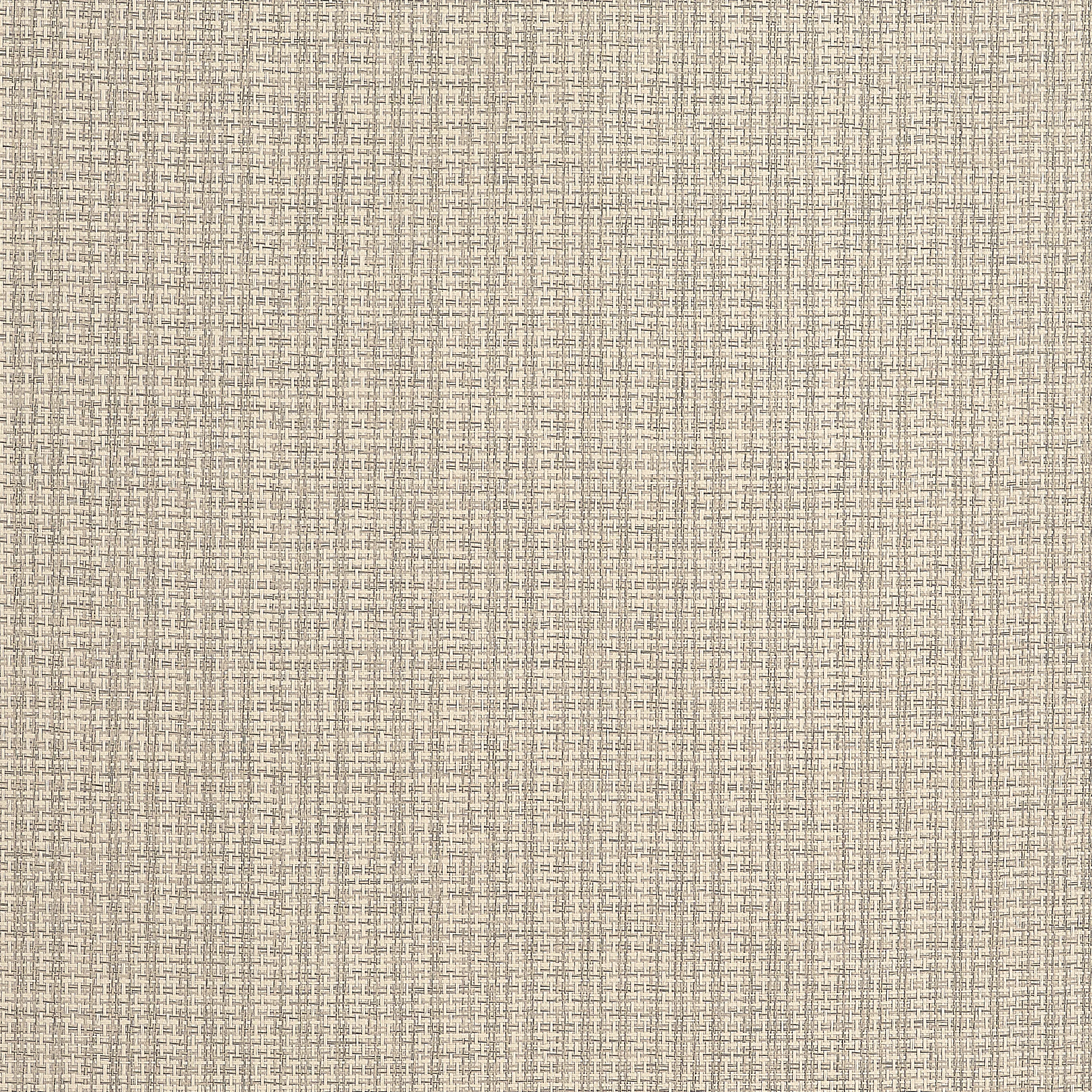 T19635 | Coastline – Tan