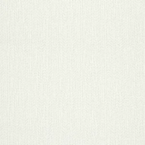 Thibaut Connell in Neutral (T320)