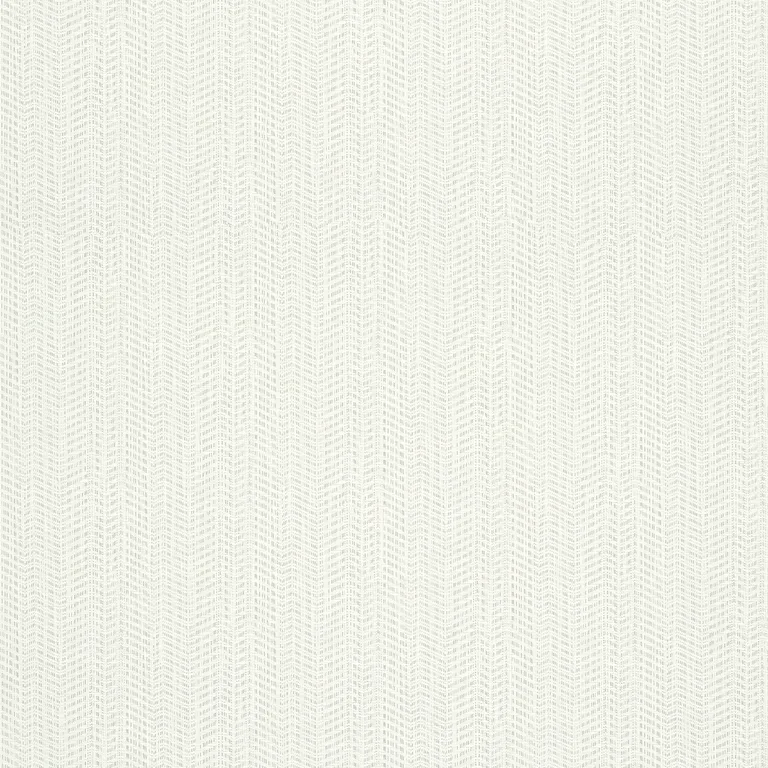 Thibaut Connell in Neutral (T320)