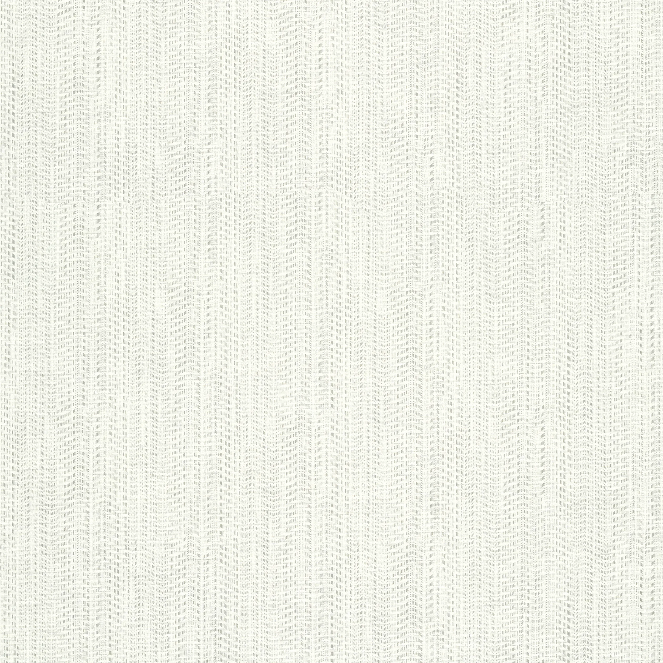 Thibaut Connell in Neutral (T320)