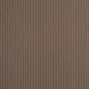 Thibaut Conner Stripe in Brown (T44067)