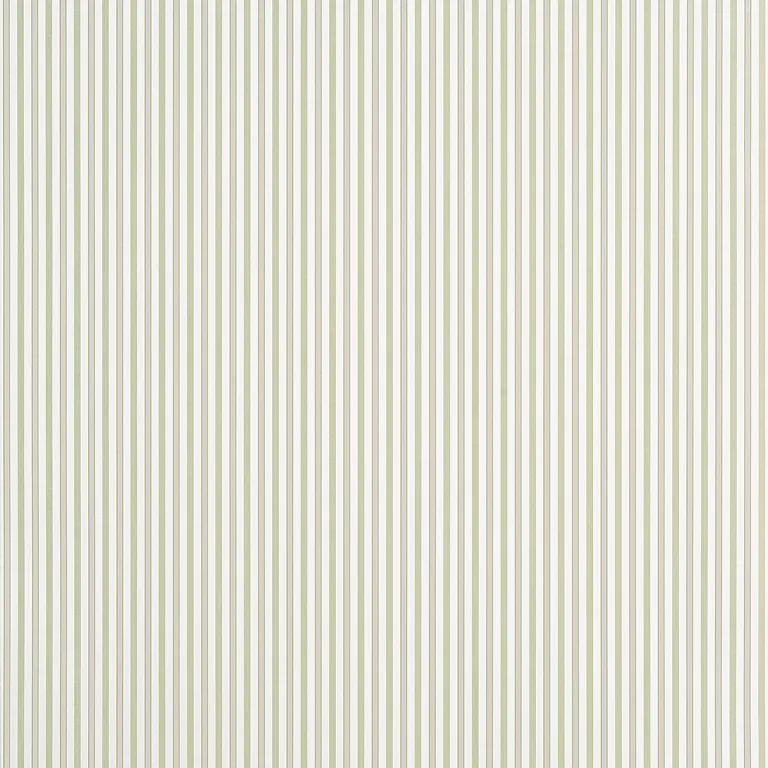 Thibaut Conner Stripe in Green and Beige (T44066)