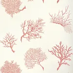 Thibaut Coral Gables in Coral on White (T6867)