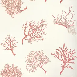 T6867 | Coral Gables – Coral on White