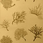 Thibaut Coral Gables in Metallic Gold (T6854)