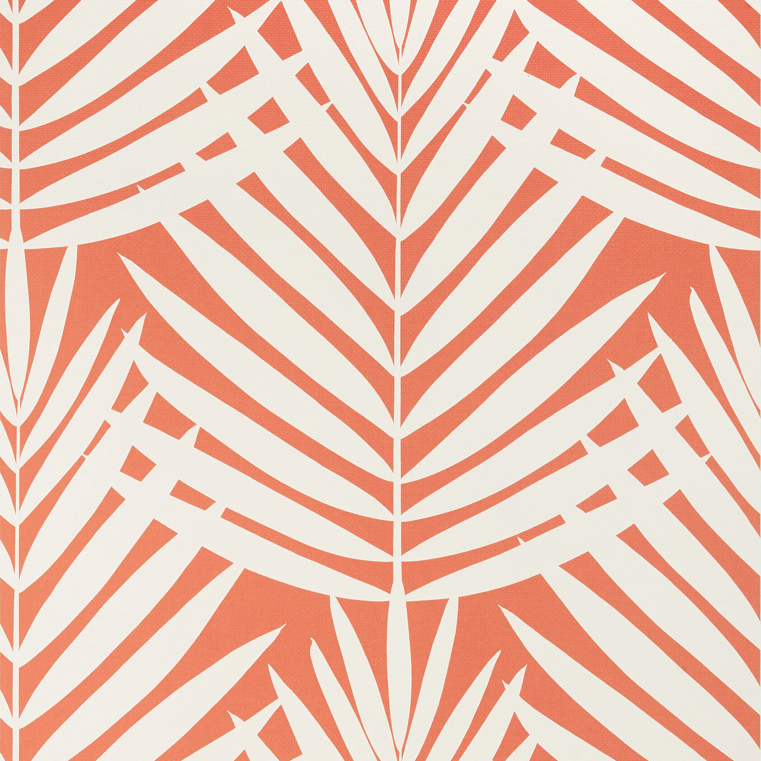 Thibaut Croatia in Coral (T13934)