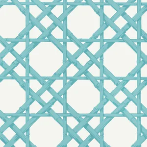 Thibaut Cyrus Cane in Turquoise (T13143)