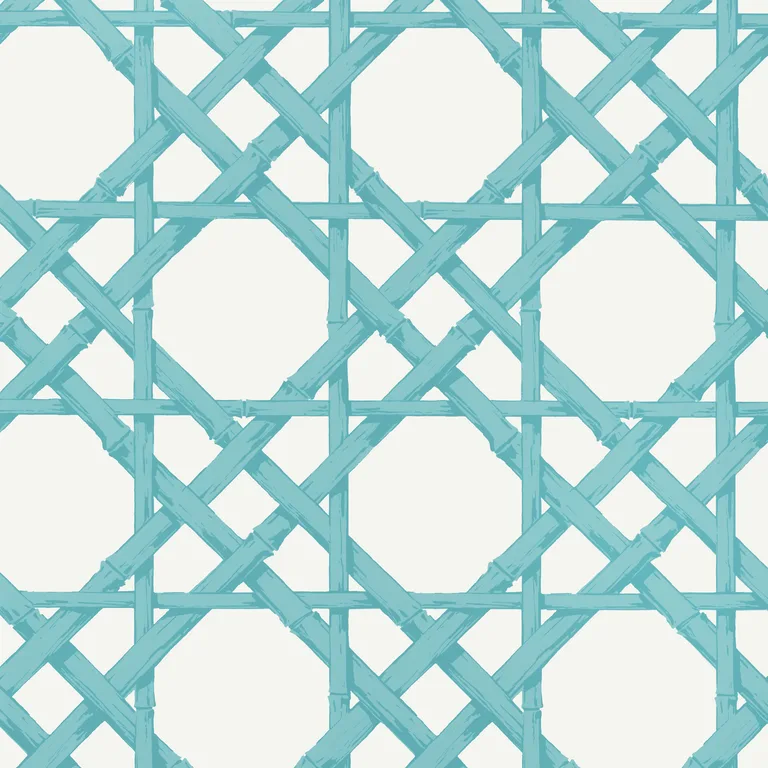 Thibaut Cyrus Cane in Turquoise (T13143)