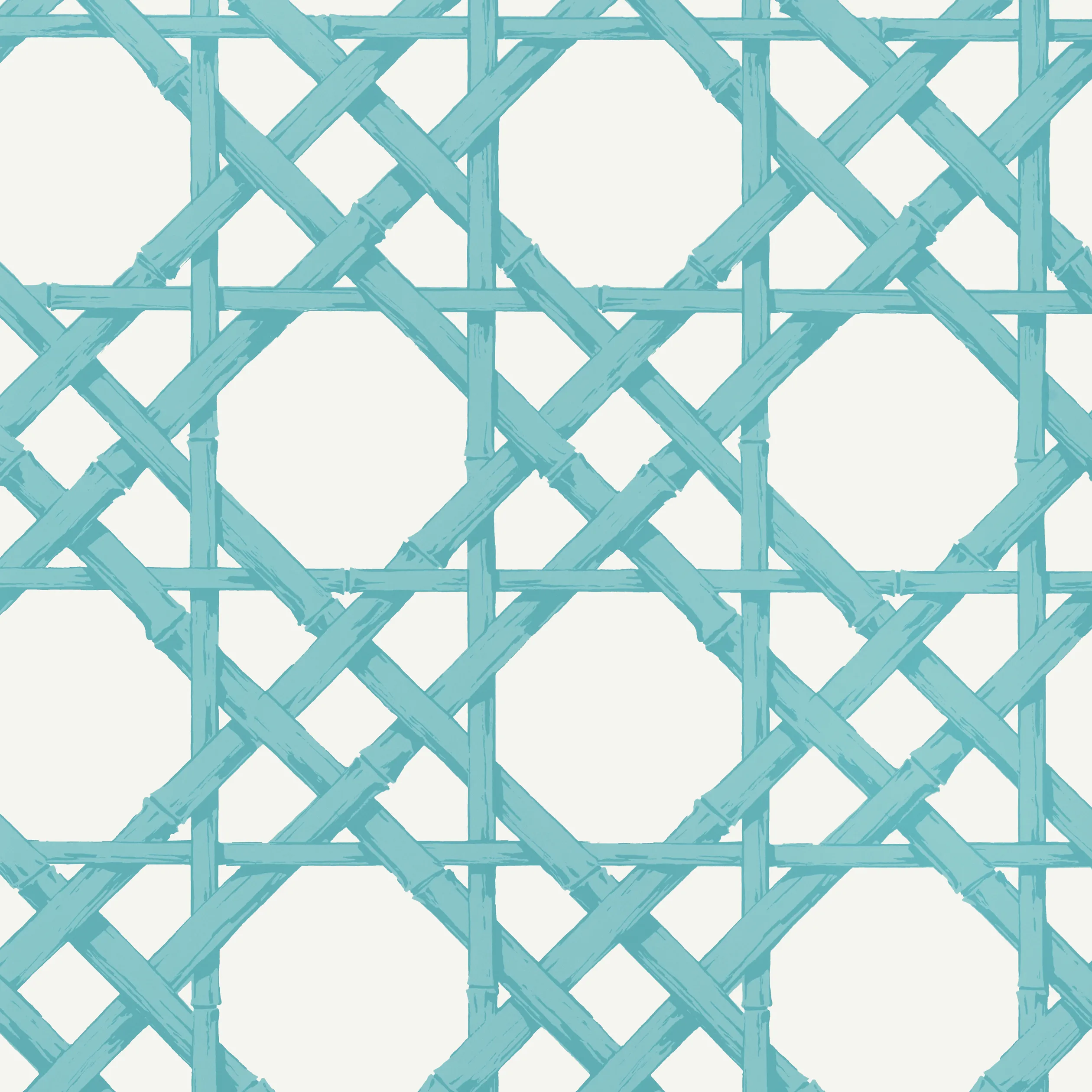 Thibaut Cyrus Cane in Turquoise (T13143)