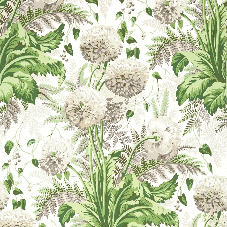 Anna French Dahlia in Spring on White (AT24538)
