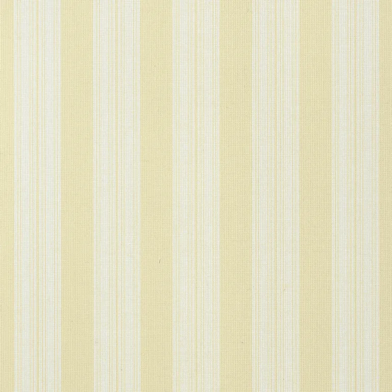 Thibaut Deck Stripe in Straw (T24346)