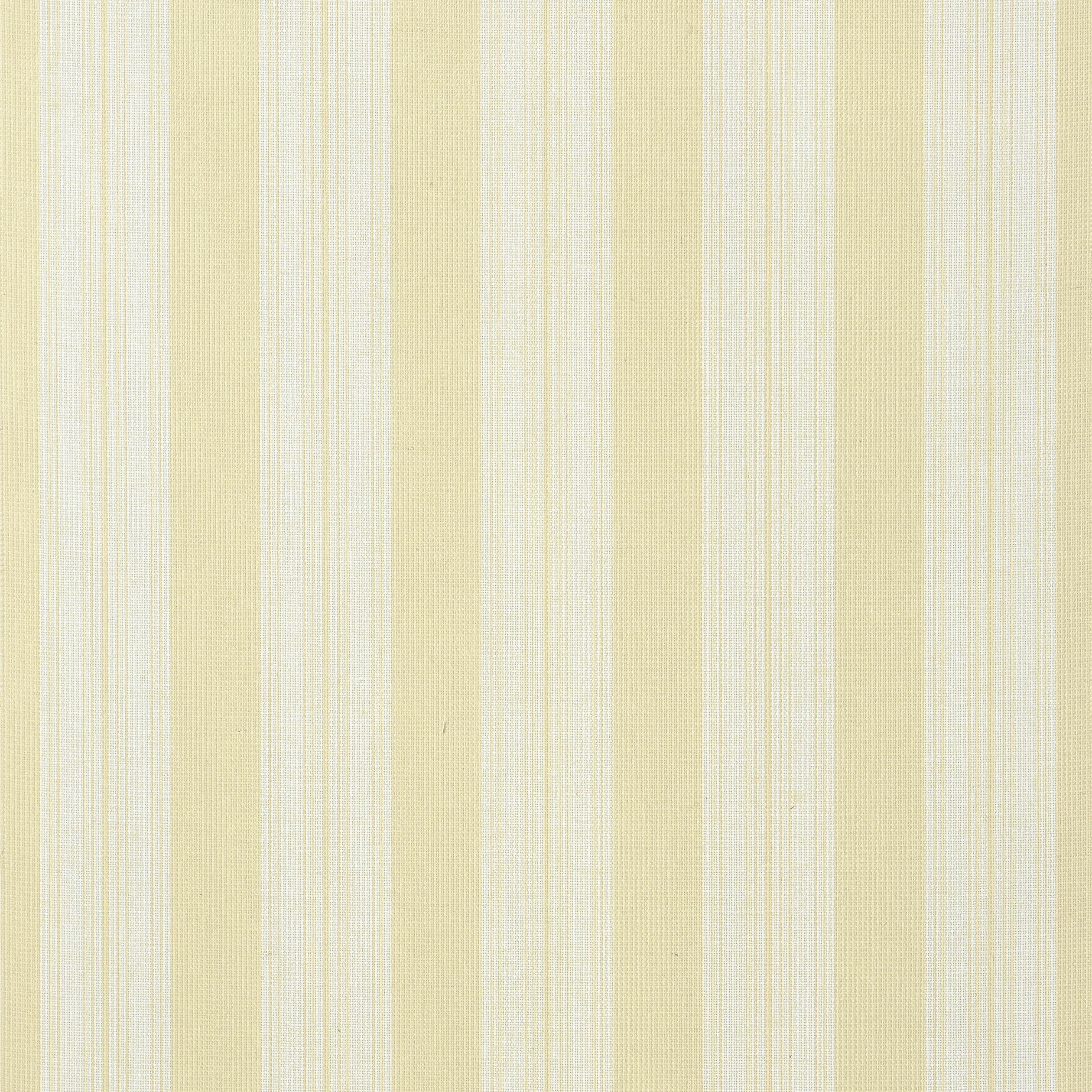 Thibaut Deck Stripe in Straw (T24346)