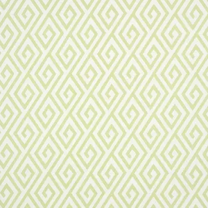 Thibaut Dedalo in Green (T35151)