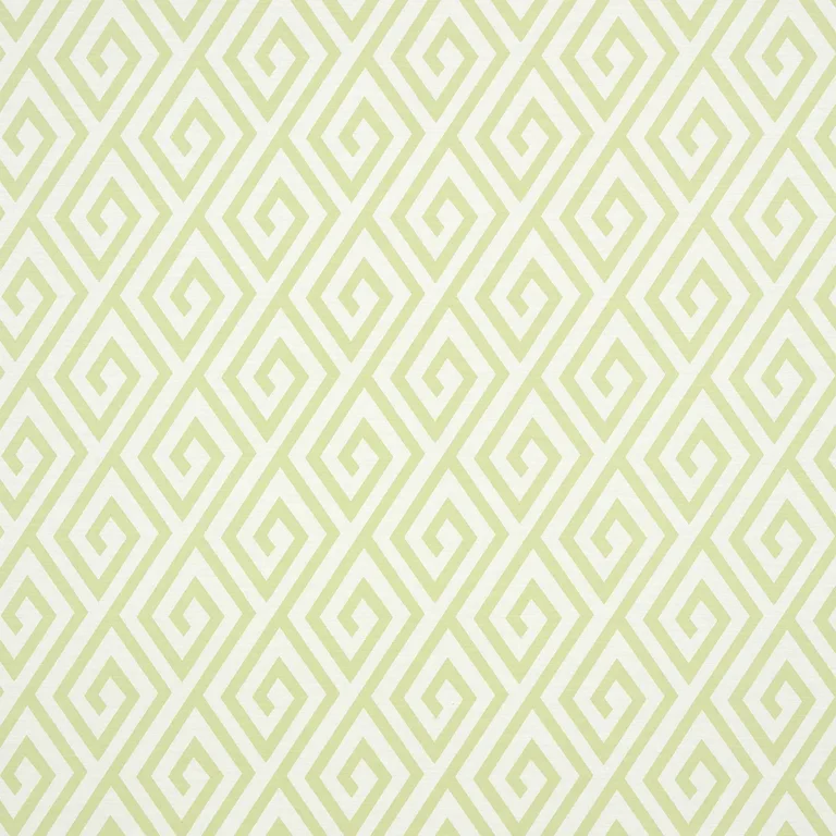Thibaut Dedalo in Green (T35151)