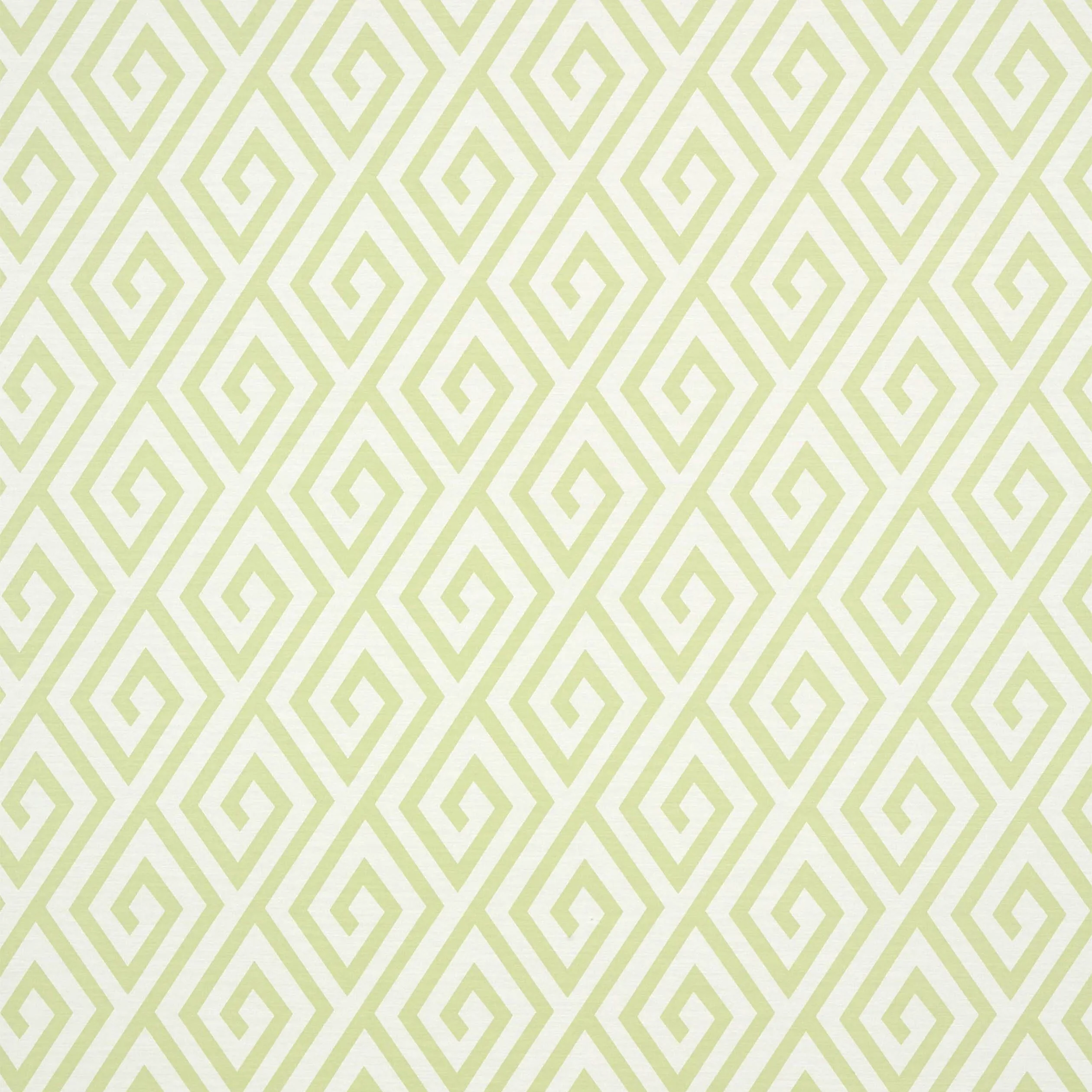 T35151 | Dedalo – Green