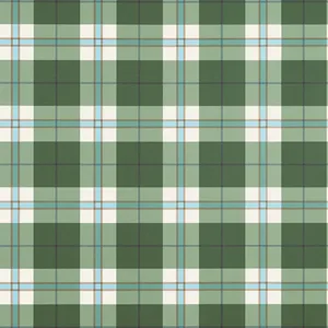 Thibaut Douglas Plaid in Green (T44071)