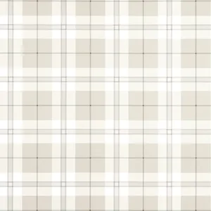 Thibaut Douglas Plaid in Light Beige (T44072)