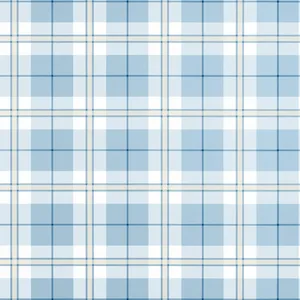 Thibaut Douglas Plaid in Light Blue (T44075)